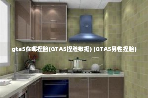 gta5在哪捏脸(GTA5捏脸数据) (GTA5男性捏脸)