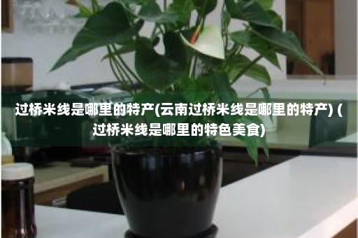 过桥米线是哪里的特产(云南过桥米线是哪里的特产) (过桥米线是哪里的特色美食)