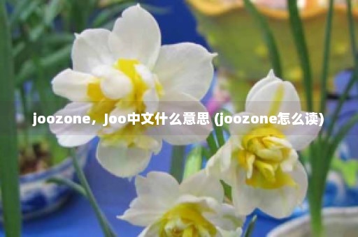 joozone，Joo中文什么意思 (joozone怎么读)