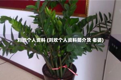 刘欢个人资料 (刘欢个人资料简介及 老婆)