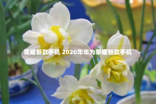 荣耀新款手机 2020年华为荣耀新款手机