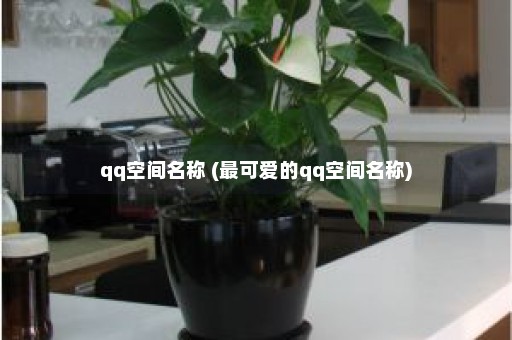 qq空间名称 (最可爱的qq空间名称)