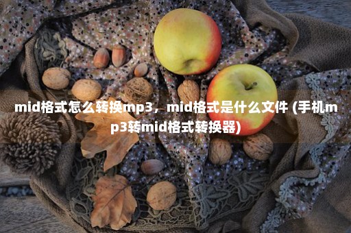 mid格式怎么转换mp3，mid格式是什么文件 (手机mp3转mid格式转换器)