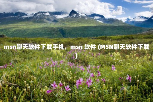 msn聊天软件下载手机，msn 软件 (MSN聊天软件下载)