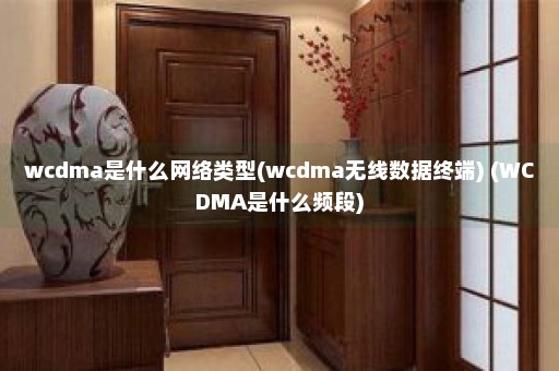 wcdma是什么网络类型(wcdma无线数据终端) (WCDMA是什么频段)