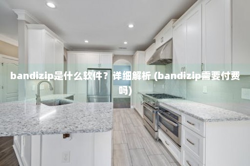 bandizip是什么软件？详细解析 (bandizip需要付费吗)