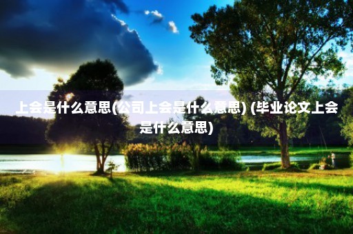 上会是什么意思(公司上会是什么意思) (毕业论文上会是什么意思)