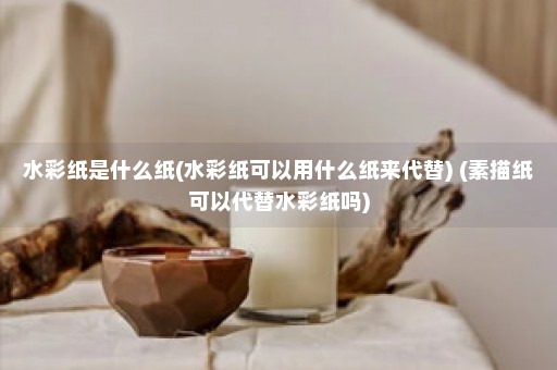 水彩纸是什么纸(水彩纸可以用什么纸来代替) (素描纸可以代替水彩纸吗)