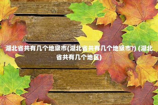 湖北省共有几个地级市(湖北省共有几个地级市?) (湖北省共有几个地区)