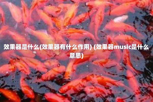 效果器是什么(效果器有什么作用) (效果器music是什么意思)