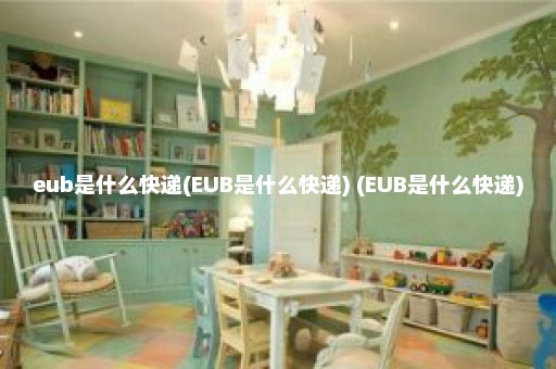 eub是什么快递(EUB是什么快递) (EUB是什么快递)