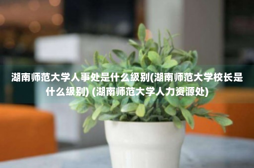 湖南师范大学人事处是什么级别(湖南师范大学校长是什么级别) (湖南师范大学人力资源处)