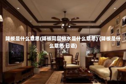 降板是什么意思(降板同层排水是什么意思) (降板是什么意思 日语)