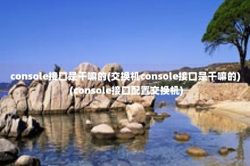 console接口是干嘛的(交换机console接口是干嘛的) (console接口配置交换机)