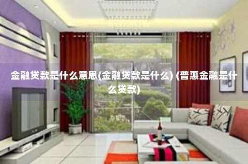 金融贷款是什么意思(金融贷款是什么) (普惠金融是什么贷款)