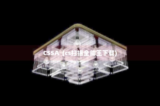 CSSA  (cs扫描全能王下载)