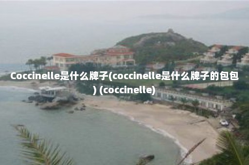 Coccinelle是什么牌子(coccinelle是什么牌子的包包) (coccinelle)