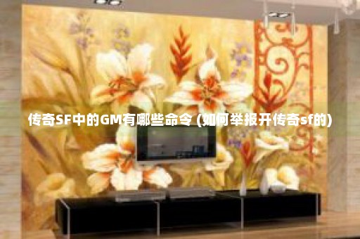 传奇SF中的GM有哪些命令 (如何举报开传奇sf的)