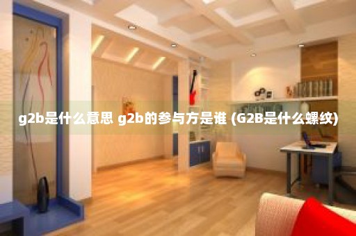 g2b是什么意思 g2b的参与方是谁 (G2B是什么螺纹)