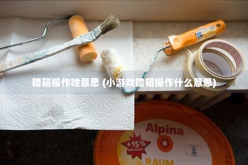 暗箱操作啥意思 (小游戏暗箱操作什么意思)