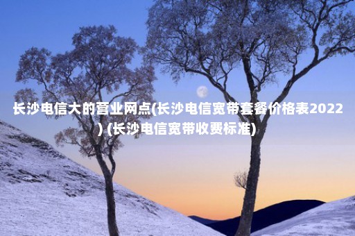 长沙电信大的营业网点(长沙电信宽带套餐价格表2022) (长沙电信宽带收费标准)