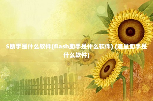 S助手是什么软件(flash助手是什么软件) (追星助手是什么软件)