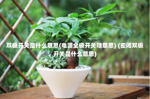 双极开关是什么意思(电源全极开关啥意思) (密闭双极开关是什么意思)