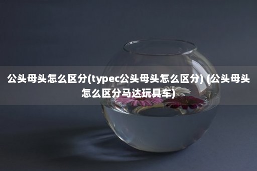 公头母头怎么区分(typec公头母头怎么区分) (公头母头怎么区分马达玩具车)