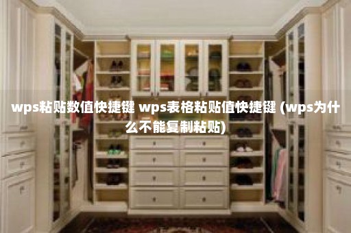 wps粘贴数值快捷键 wps表格粘贴值快捷键 (wps为什么不能复制粘贴)