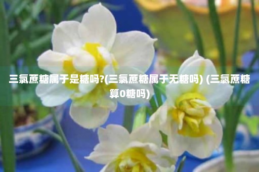 三氯蔗糖属于是糖吗?(三氯蔗糖属于无糖吗) (三氯蔗糖算0糖吗)