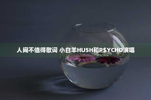 人间不值得歌词 小白羊HUSH和P$YCHO演唱