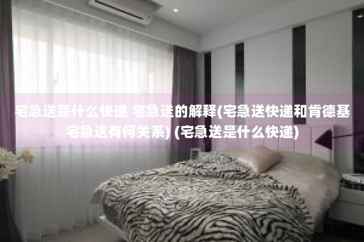 宅急送是什么快递 宅急送的解释(宅急送快递和肯德基宅急送有何关系) (宅急送是什么快递)