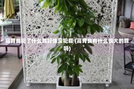 高育良犯了什么罪好像没犯罪 (高育良有什么很大的罪吗)