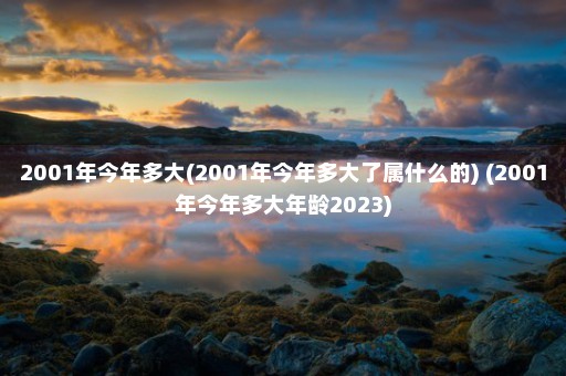 2001年今年多大(2001年今年多大了属什么的) (2001年今年多大年龄2023)