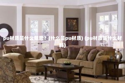 pu材质是什么意思？(什么是pu材质) (pu材质是什么材料)