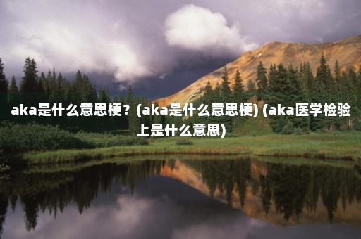 aka是什么意思梗？(aka是什么意思梗) (aka医学检验上是什么意思)