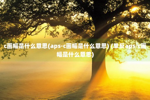 c画幅是什么意思(aps-c画幅是什么意思) (单反aps-c画幅是什么意思)