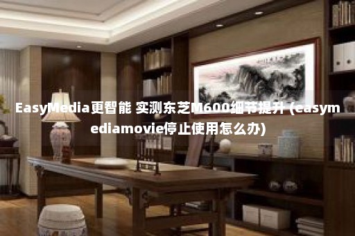 EasyMedia更智能 实测东芝M600细节提升 (easymediamovie停止使用怎么办)