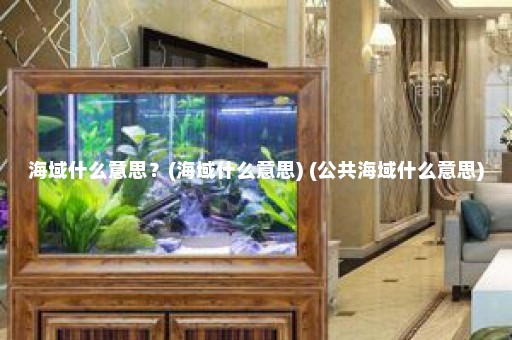 海域什么意思？(海域什么意思) (公共海域什么意思)