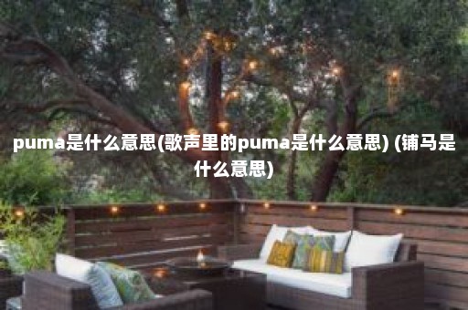 puma是什么意思(歌声里的puma是什么意思) (铺马是什么意思)