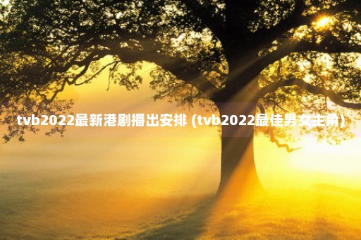 tvb2022最新港剧播出安排 (tvb2022最佳男女主角)