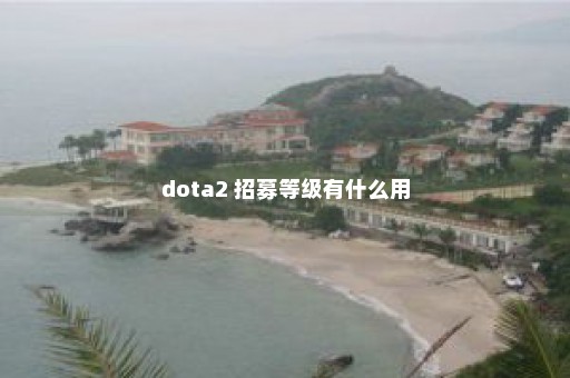 dota2 招募等级有什么用