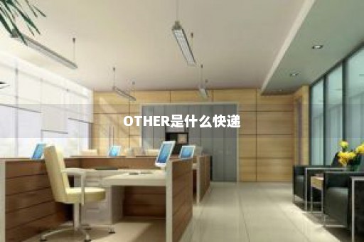 OTHER是什么快递