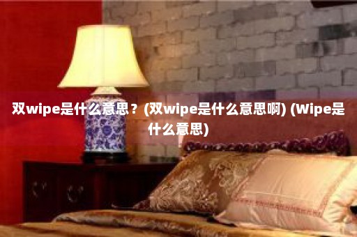 双wipe是什么意思？(双wipe是什么意思啊) (Wipe是什么意思)