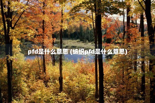 pfd是什么意思 (纺织pfd是什么意思)