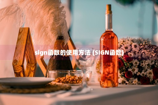 sign函数的使用方法 (SIGN函数)