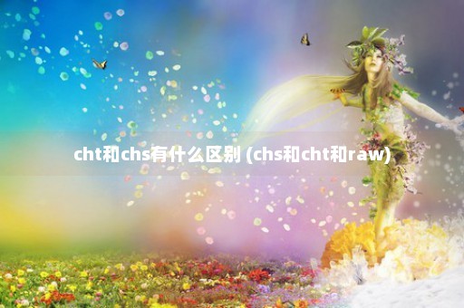 cht和chs有什么区别 (chs和cht和raw)