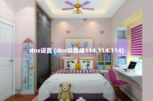 dns设置 (dns设置成114.114.114)