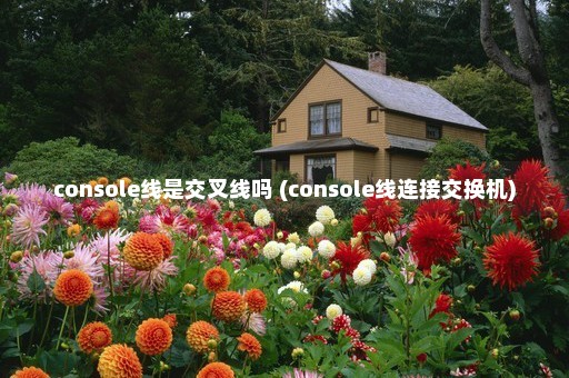 console线是交叉线吗 (console线连接交换机)