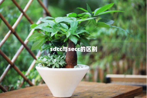 sdcc与secc的区别